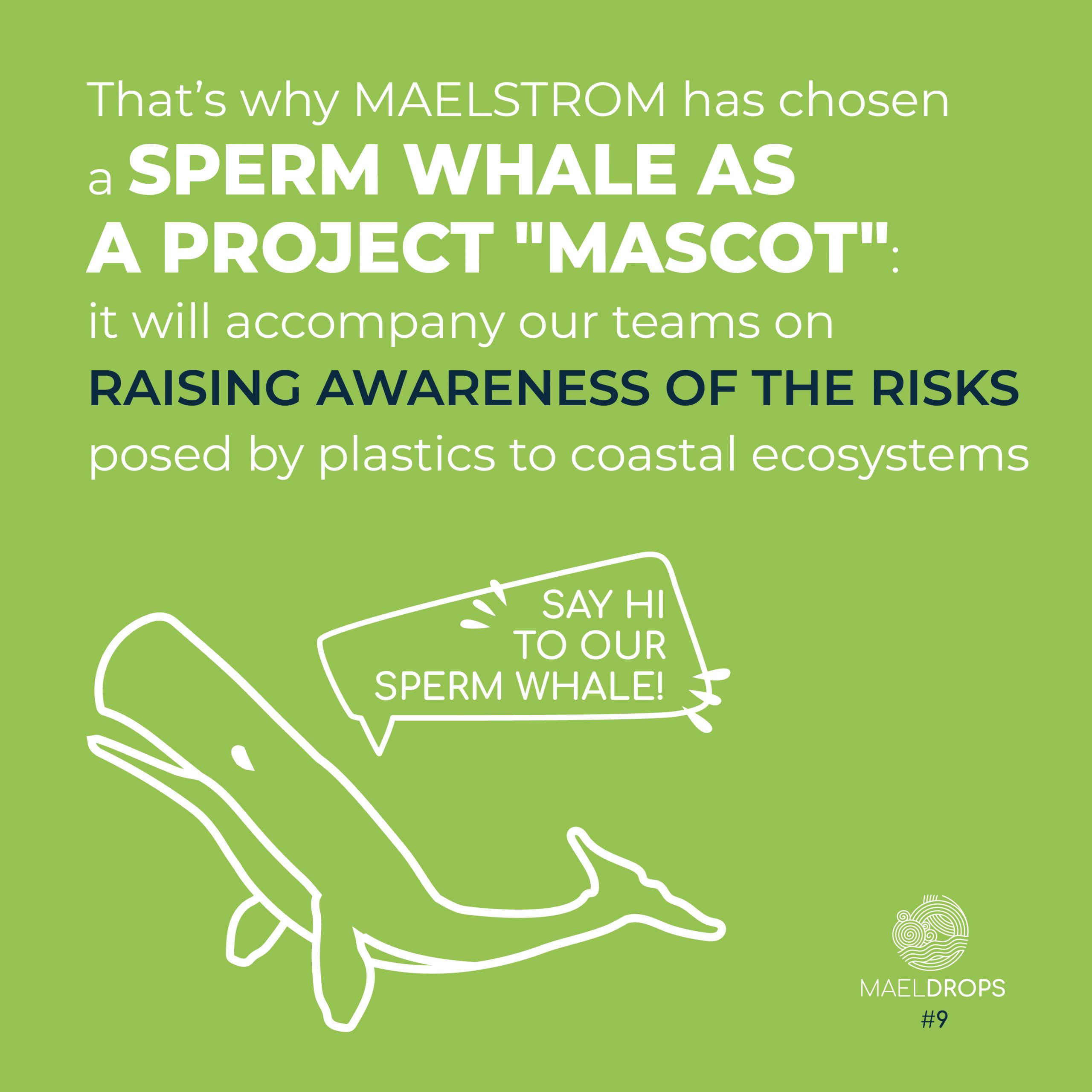 MAELDrop9_3