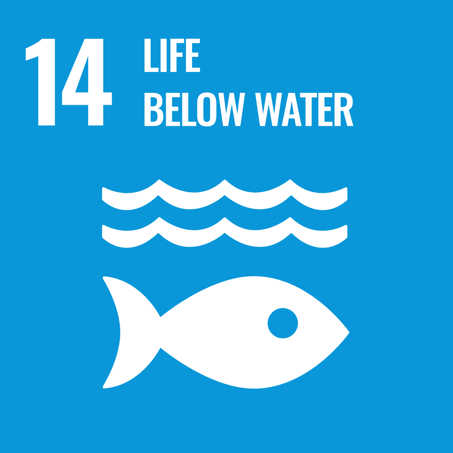 sdg-14